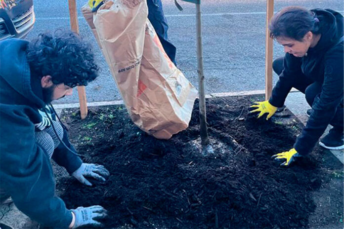 Trees-bring-fruits,-flowers,-and-shade-to-Hunting-Park-homes