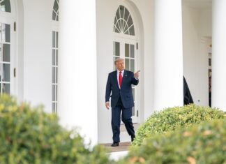 Trump desata críticas por insultar a una periodista llamándola «cerdita»