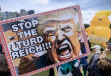 El segundo mandato de Trump pone a la democracia estadounidense contra la cuerdas