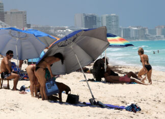 Durante 2025, México emergió como una alternativa frente a la incertidumbre en Estados Unidos México