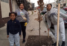 A magical tree planting day