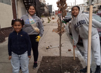 A magical tree planting day
