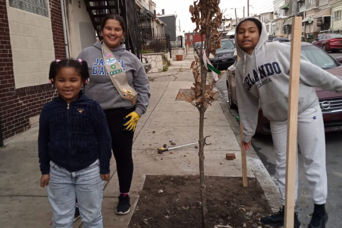 A-magical-tree-planting-day
