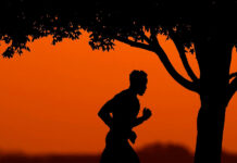 Comienza 2026 con hábitos saludables: consejos fáciles para mejorar tu bienestar