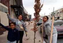 Un día mágico de siembra de árboles