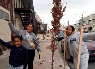 Un día mágico de siembra de árboles