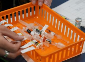 Médicos: cambios en recomendaciones sobre vacunas en EE. UU. confunden a padres y perjudicarían a niños vacunas