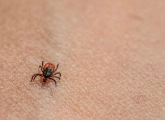 Department of Health invites students to enter art