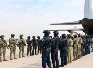 México anuncia el envío a Estados Unidos de 37 integrantes de organizaciones criminales