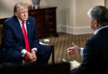 Trump says US ‘to start hitting land’ in fight against Mexico drug cartels