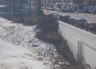 Code Blue in Philadelphia: what experts and our community are saying