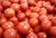 Nuevo arancel global de Trump exceptúa productos estratégicos y modifica fundamento legal arancel