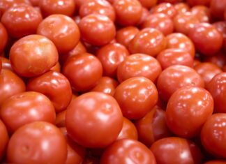 Nuevo arancel global de Trump exceptúa productos estratégicos y modifica fundamento legal arancel