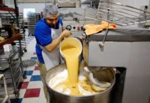 El 38,8 % del crecimiento empresarial en EE.UU. entre 2007 y 2023 fue gracias a los latinos