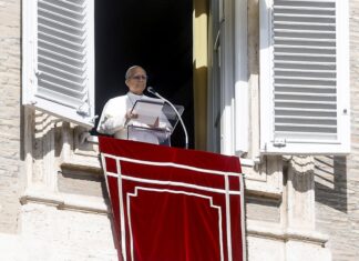 León XIV felicita el Año Nuevo Lunar e insta a que sirva para construir paz y prosperidad León XIV