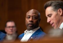 Republicanos critican a Trump por publicación racista en redes sociales republicanos