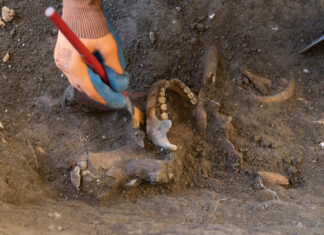 Arqueólogos buscan en República Dominicana a Enriquillo el «primer guerrillero de América»