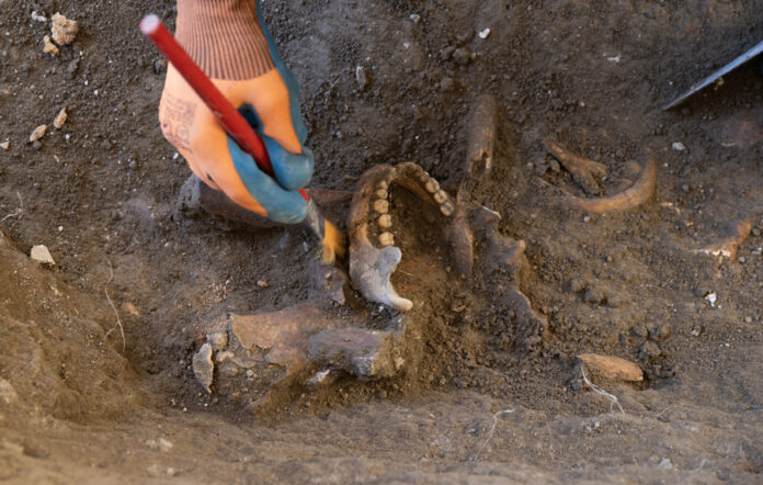 Arqueólogos buscan en República Dominicana a Enriquillo el "primer guerrillero de América"