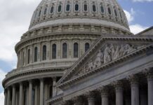 Cámara de Representantes aprueba ley para exigir identificación a votantes en EE. UU.