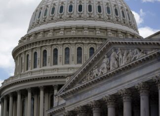 Cámara de Representantes aprueba ley para exigir identificación a votantes en EE. UU.