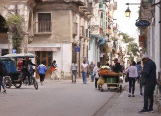 Susan Sarandon y Mark Ruffalo piden a Trump que detenga el «cruel asalto» contra Cuba