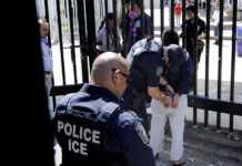 Exinstructor de ICE asegura que Gobierno Trump redujo cursos de formación de sus agentes