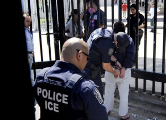 Exinstructor de ICE asegura que Gobierno Trump redujo cursos de formación de sus agentes