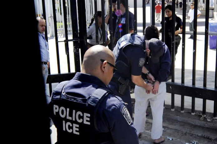 Exinstructor-de-ICE-asegura-que-Gobierno-Trump-redujo-cursos-de-formación-de-sus-agentes