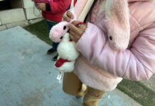 Al menos 11.000 niños estadounidenses, separados de padres en redadas migratorias de Trump