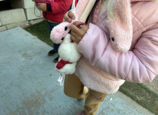 Al menos 11.000 niños estadounidenses, separados de padres en redadas migratorias de Trump