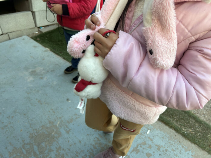 Al menos 11.000 niños estadounidenses, separados de padres en redadas migratorias de Trump