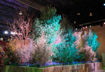 The Philadelphia Flower Show 2026 returns to the Convention Center with a renewed experience