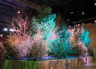 The Philadelphia Flower Show 2026 returns to the Convention Center with a renewed experience