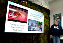 NKCDC y Philly Boricuas impulsan plan verde para Kensington