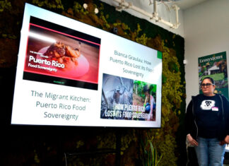 NKCDC y Philly Boricuas impulsan plan verde para Kensington