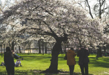 Reset de primavera: limpiar los hábitos que drenan la energía