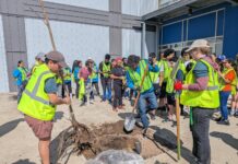 Esperanza hosts the largest spring tree planting in Philadelphia this year