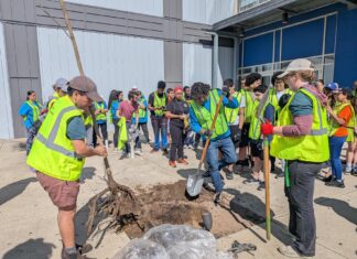 Esperanza hosts the largest spring tree planting in Philadelphia this year