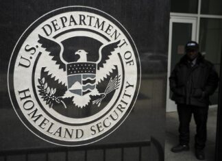 US green card approvals drop by half as immigration arrests surge