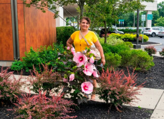 La señora de los bambús: la mujer que sembró esperanza en el asfalto de Filadelfia y hoy necesita un milagro