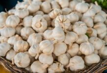 Ajo empacado vendido en Pensilvania podría causar botulismo, advierte la FDA Ajo