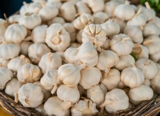 Ajo empacado vendido en Pensilvania podría causar botulismo, advierte la FDA Ajo