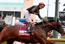 Golden Tempo se baja del Preakness tras ganar el Derby de Kentucky y apunta al Belmont en Saratoga