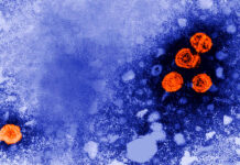 Un fármaco experimental contra la hepatitis B podría ofrecer «cura funcional» a algunos pacientes