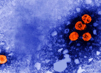 Un fármaco experimental contra la hepatitis B podría ofrecer «cura funcional» a algunos pacientes