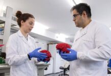 Descubren un ‘interruptor’ cerebral clave en el autismo y la esquizofrenia