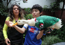 Patos, remos y mucho rosa, las anécdotas que se roban el ‘show’ en el Mundial Mundial