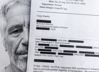 Jeffrey Epstein pagó para obtener «trato especial» en cárcel en Florida, según asistente