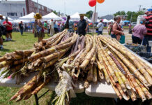 Sugar Cane Festival honors Puerto Rican roots in Philadelphia