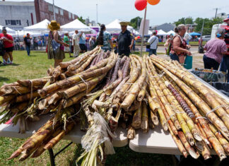 Sugar Cane Festival honors Puerto Rican roots in Philadelphia